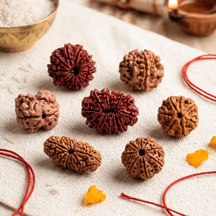 Rudraksha Bead